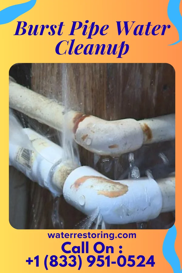 Burst Pipe Water Cleanup in Chesapeake, WV
