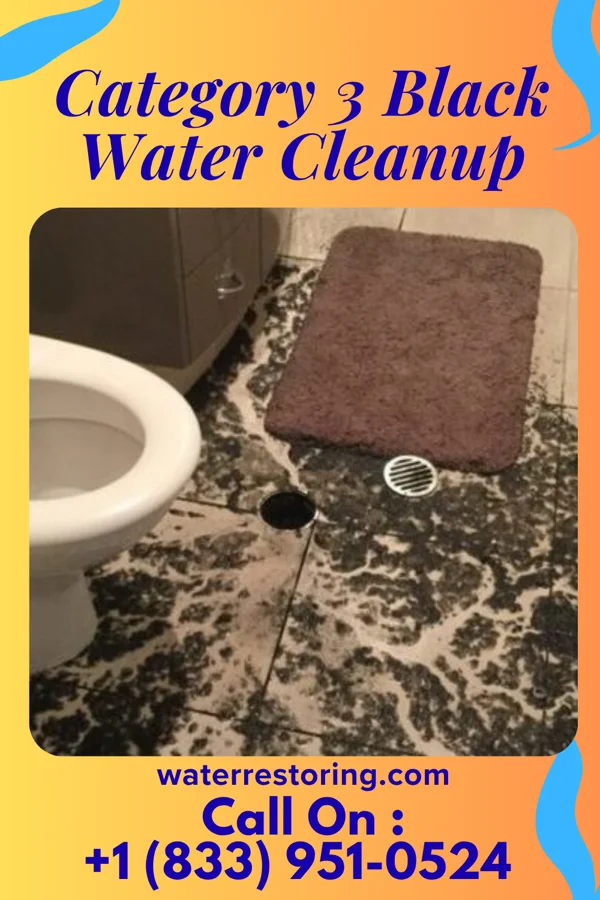 Category 3 Black Water Cleanup in Chesapeake, WV
