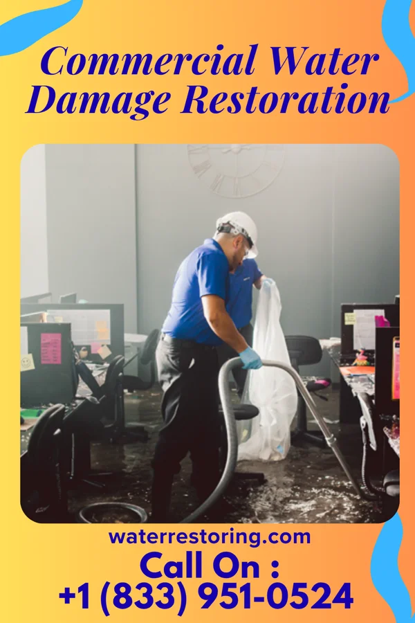 Commercial Water Damage Restoration in Chesapeake, WV