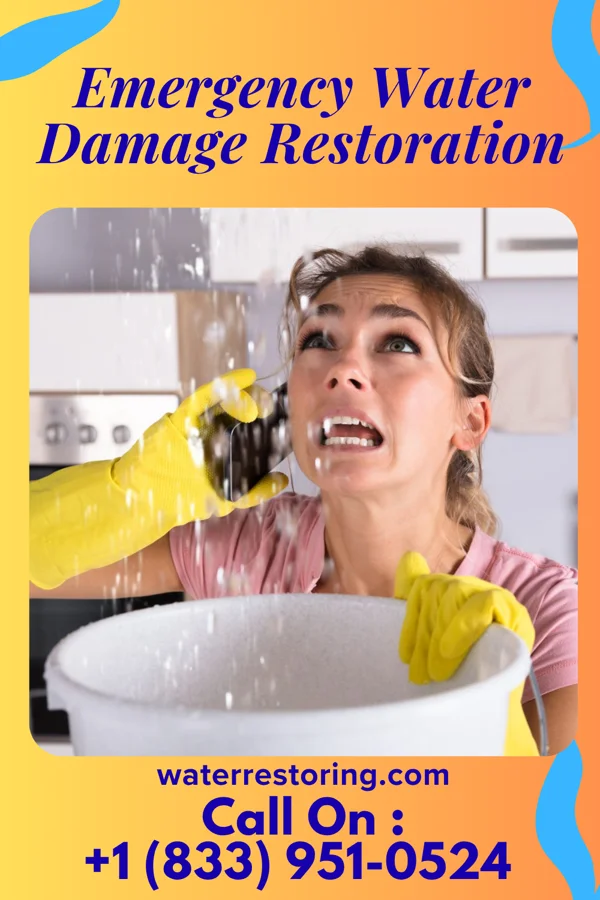 Emergency Water Damage Restoration in Chesapeake, WV