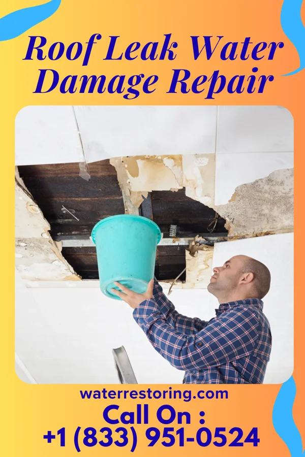 Roof Leak Water Damage Repair in Chesapeake, WV