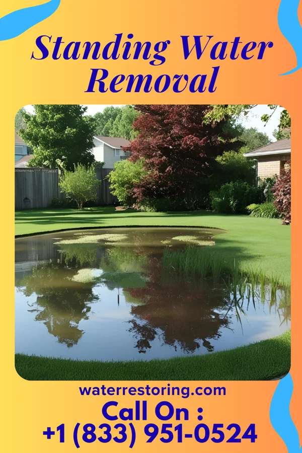 Standing Water Removal in Chesapeake, WV